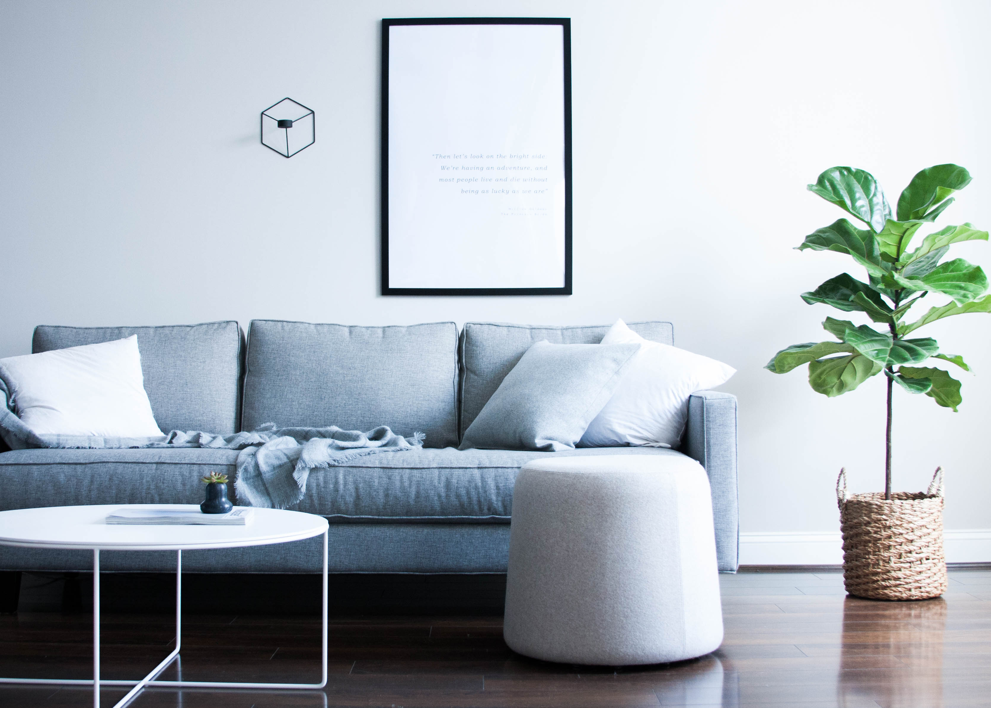 minimalist living room grey sofa green tree 1 — RG Daily