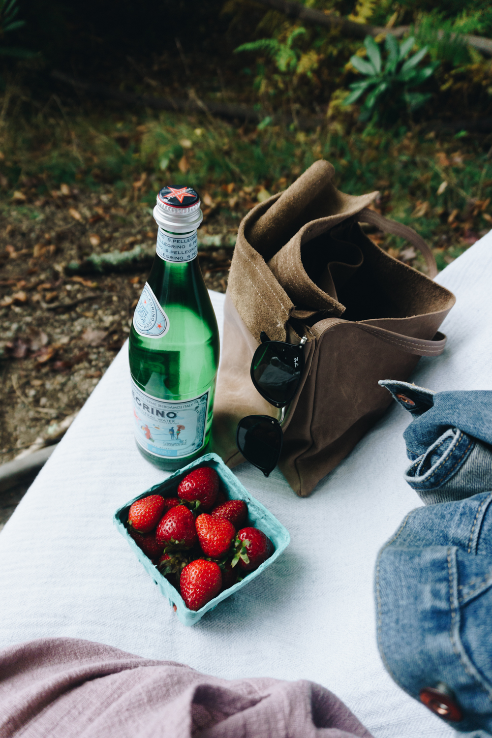 julian price lake picnic blue ridge mountains travel rgdaily blog