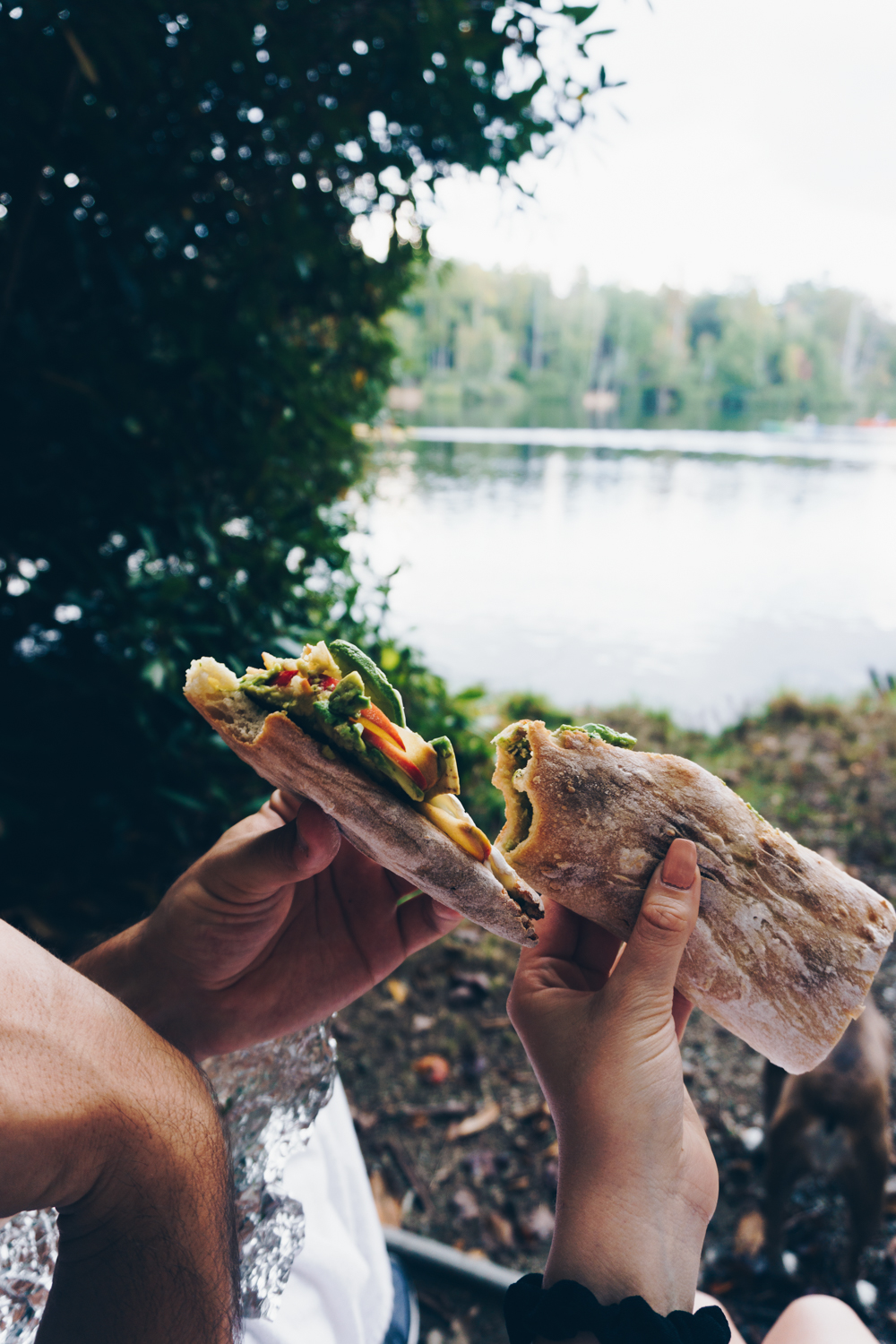 julian price lake picnic blue ridge mountains travel rgdaily blog