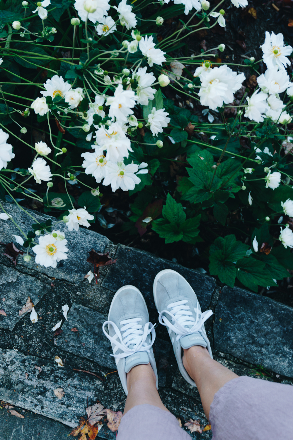 blowing rock nc flowers shoes fashion rgdaily blog