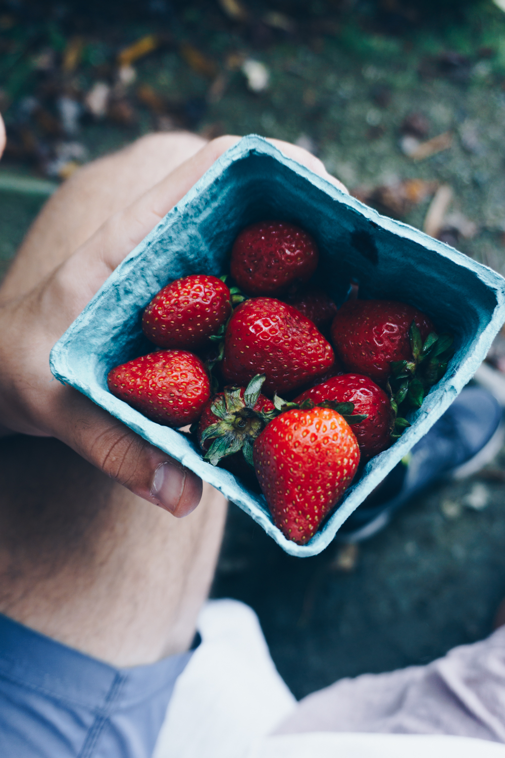 fall picnic blue ridge mountains adventures strawberries rgdaily blog