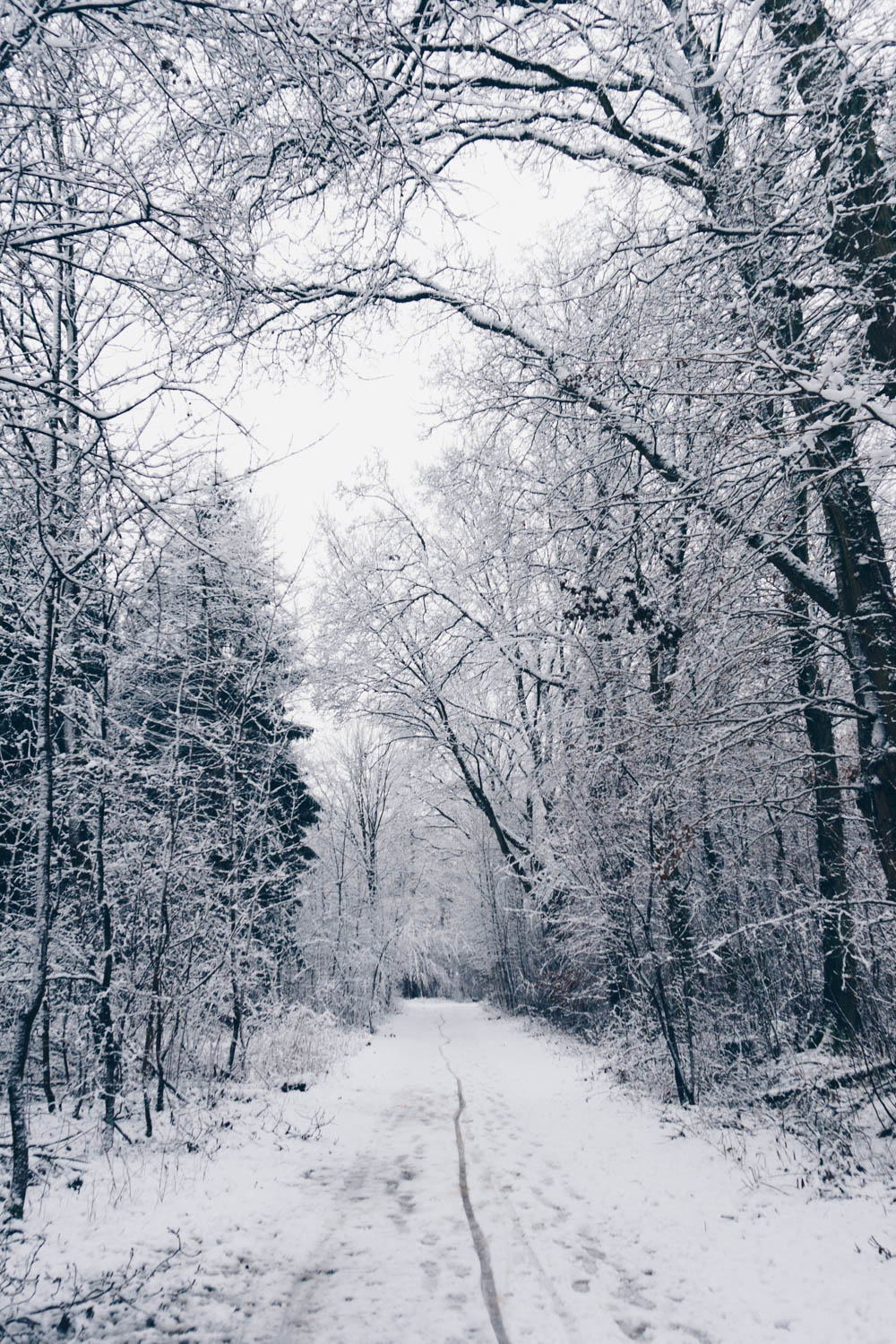 snowy day in hamburg germany winter january rebecca goddard rgdaily blog