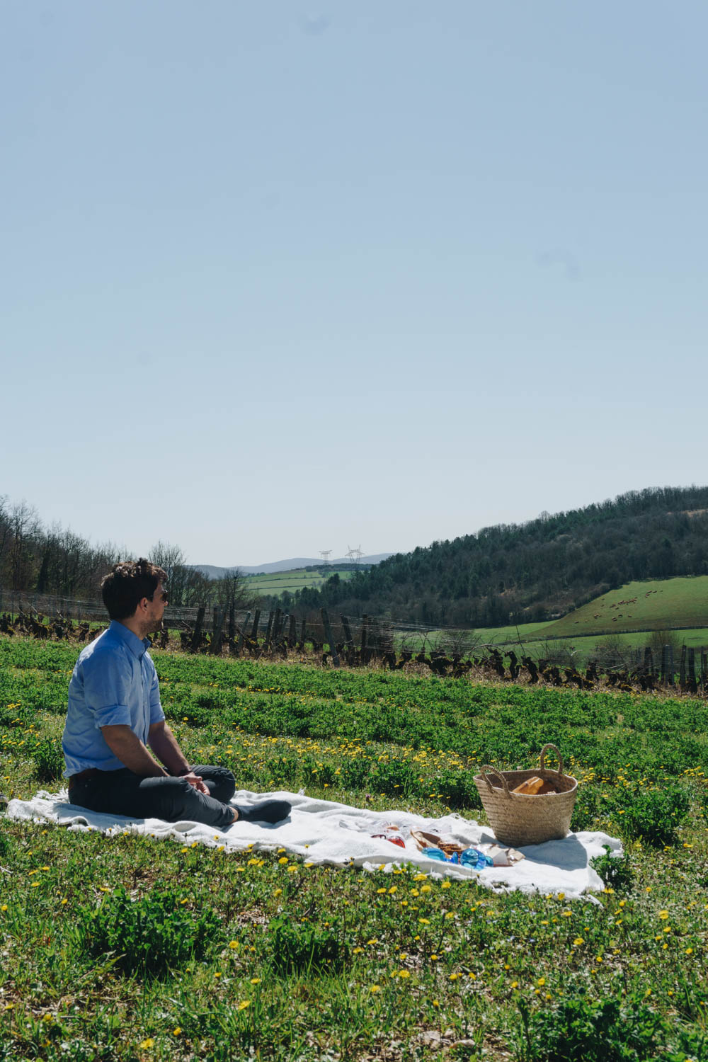 French Countryside Picnic, Burgundy France - RG Daily Blog