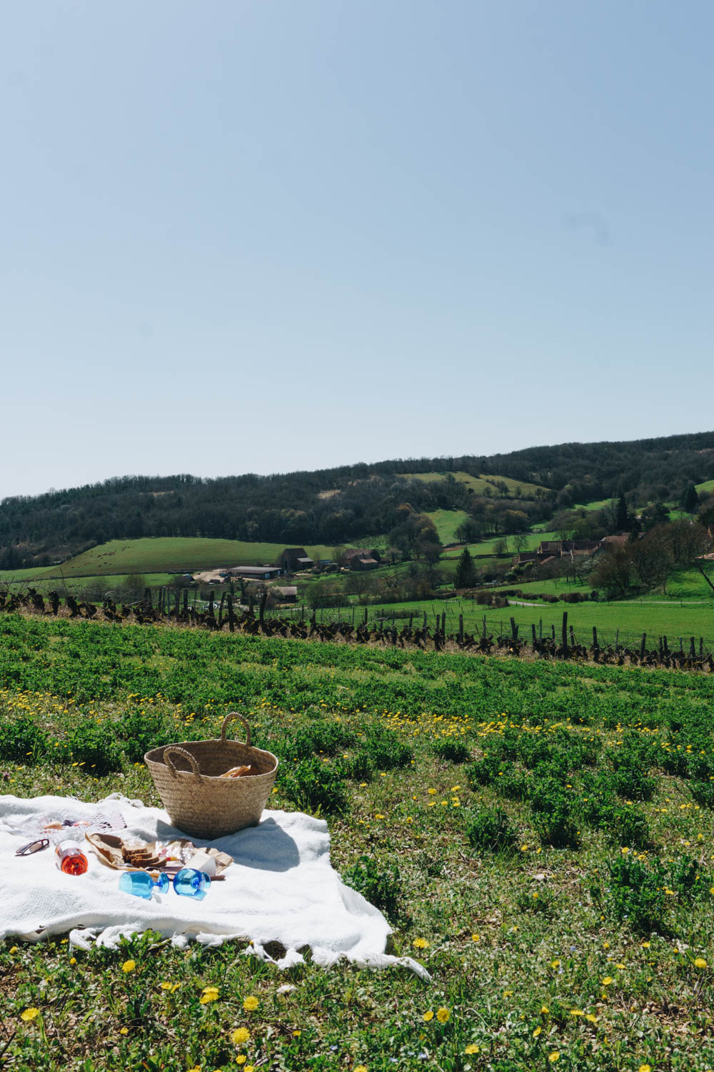 French Countryside Picnic, Burgundy France - RG Daily Blog