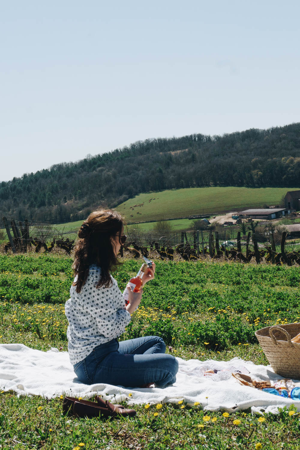 French Countryside Picnic, Burgundy France - RG Daily Blog