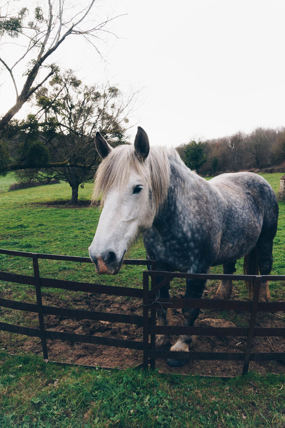 Chateau de Burnand, Burgundy France - French Countryside Horse - RG Daily Blog