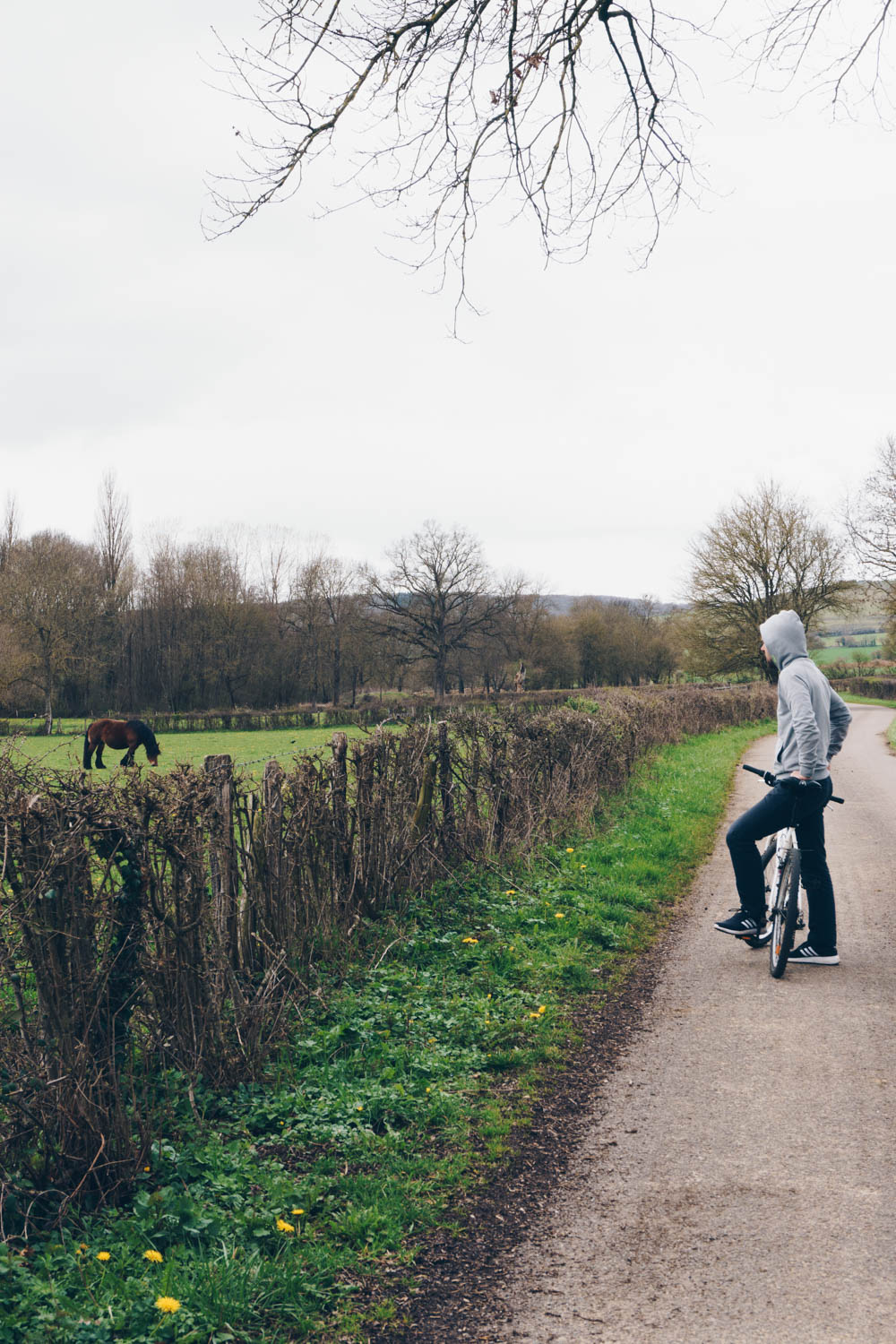 Burgundy France Bike Ride - French Countryside - RG Daily Blog