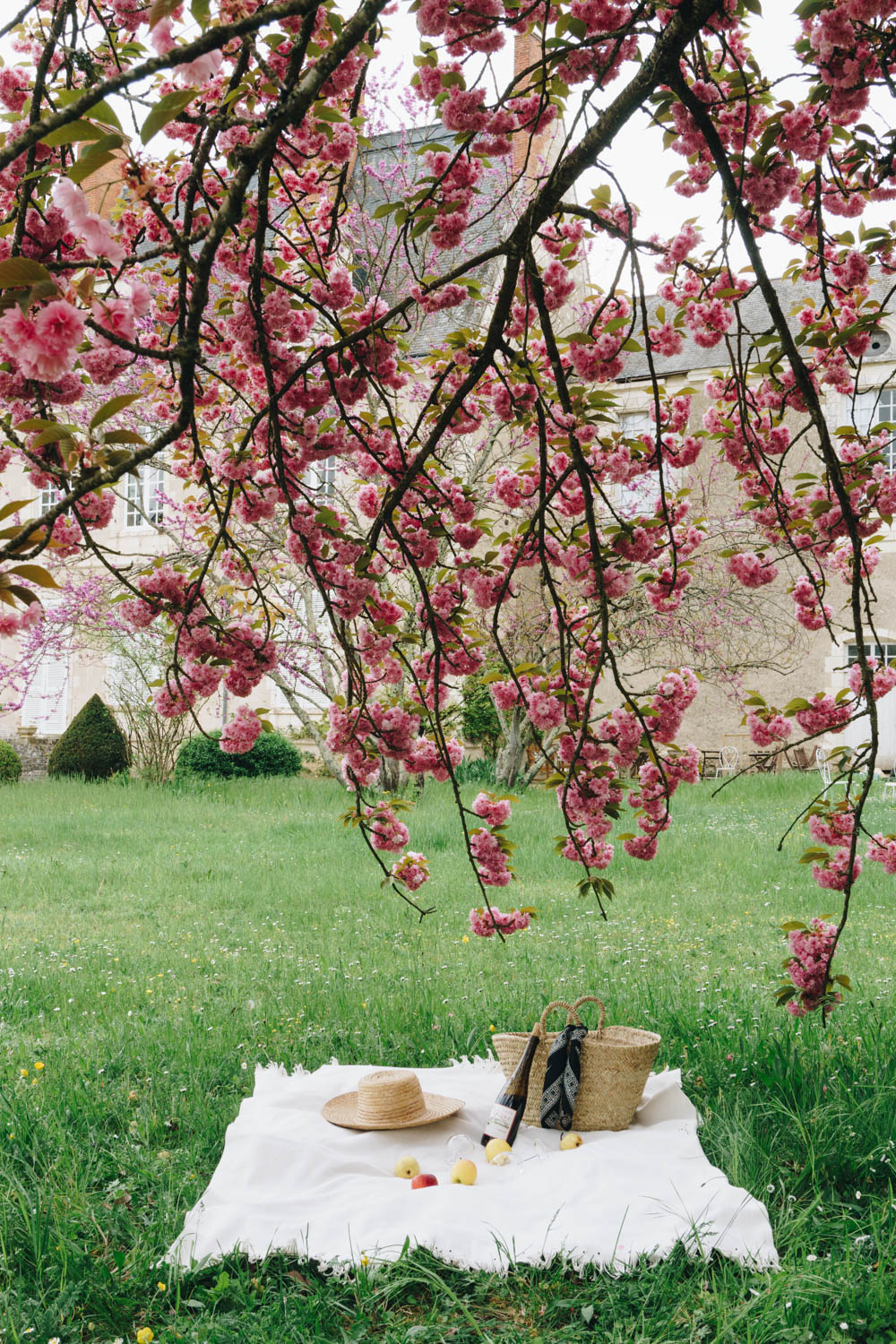 Picnic at Gizeux Loire Valley France