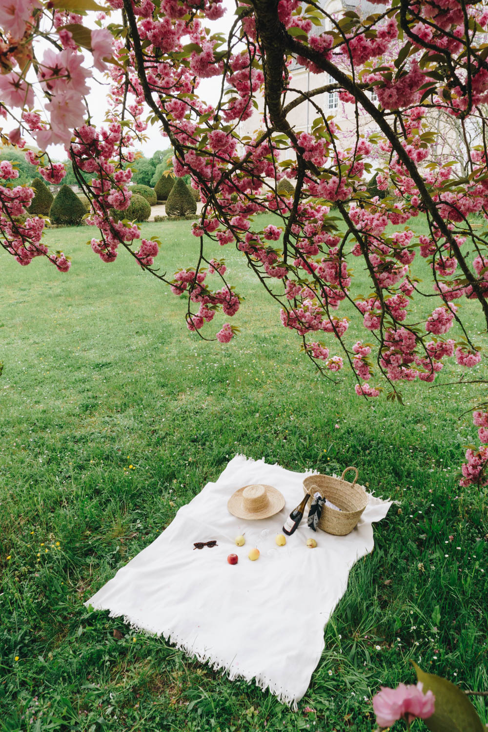 Picnic at Gizeux Loire Valley France