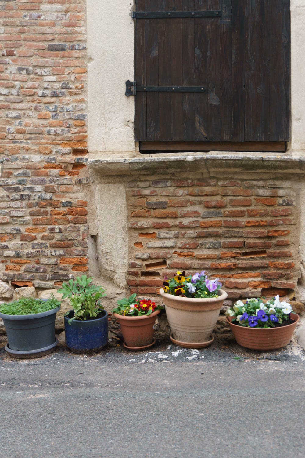 Flowers - French Country Colors, Burgundy France - RG Daily Blog