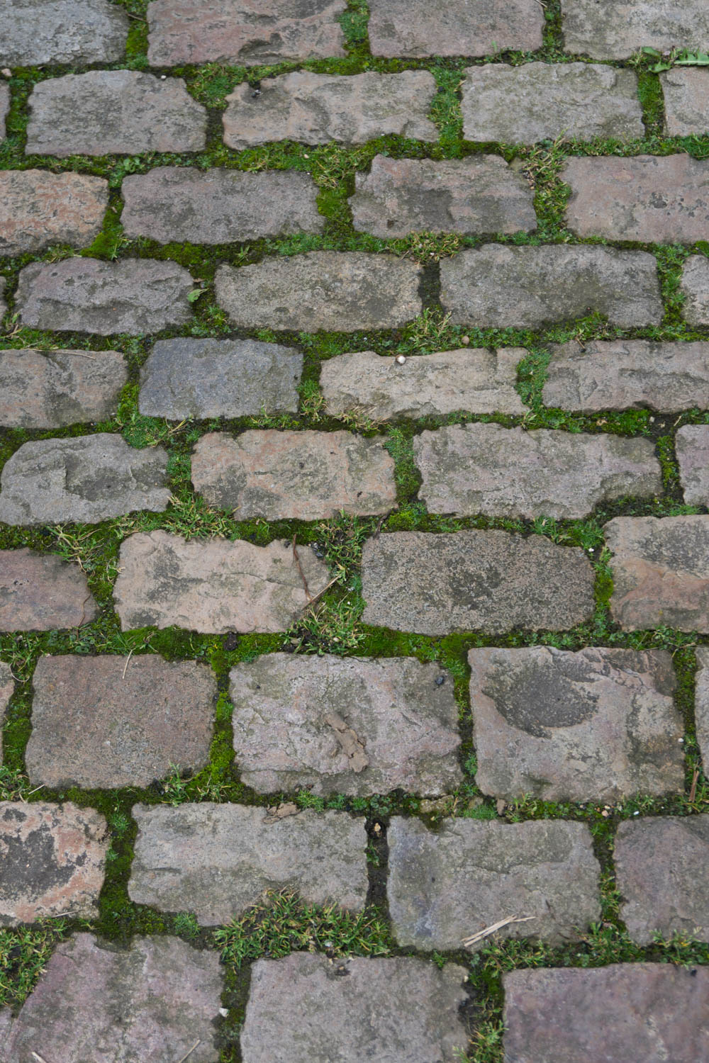 Grass and Stones - French Country Colors, Burgundy France - RG Daily Blog