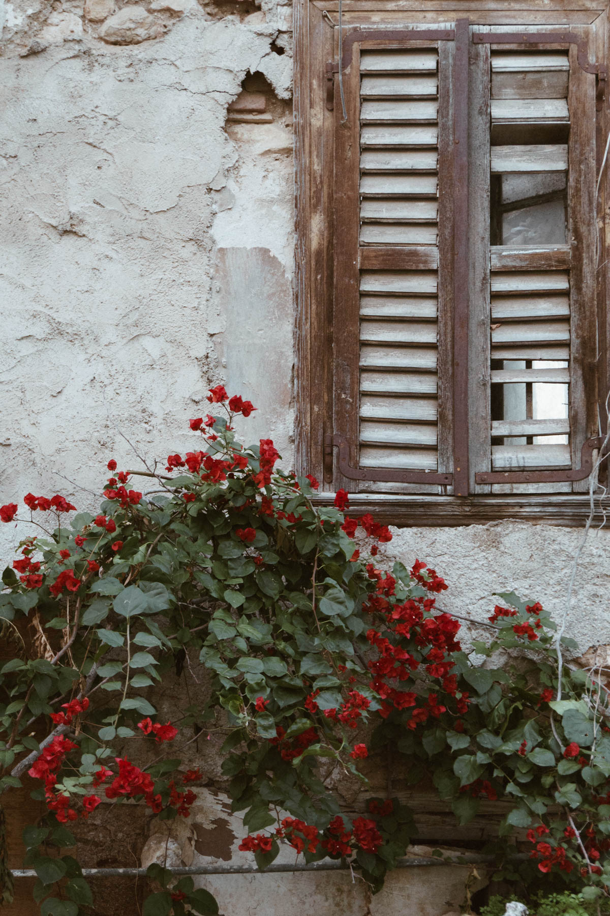 Plaka Postcards, Athens Greece Travel Guide - Flowers and Windows // RG Daily Blog