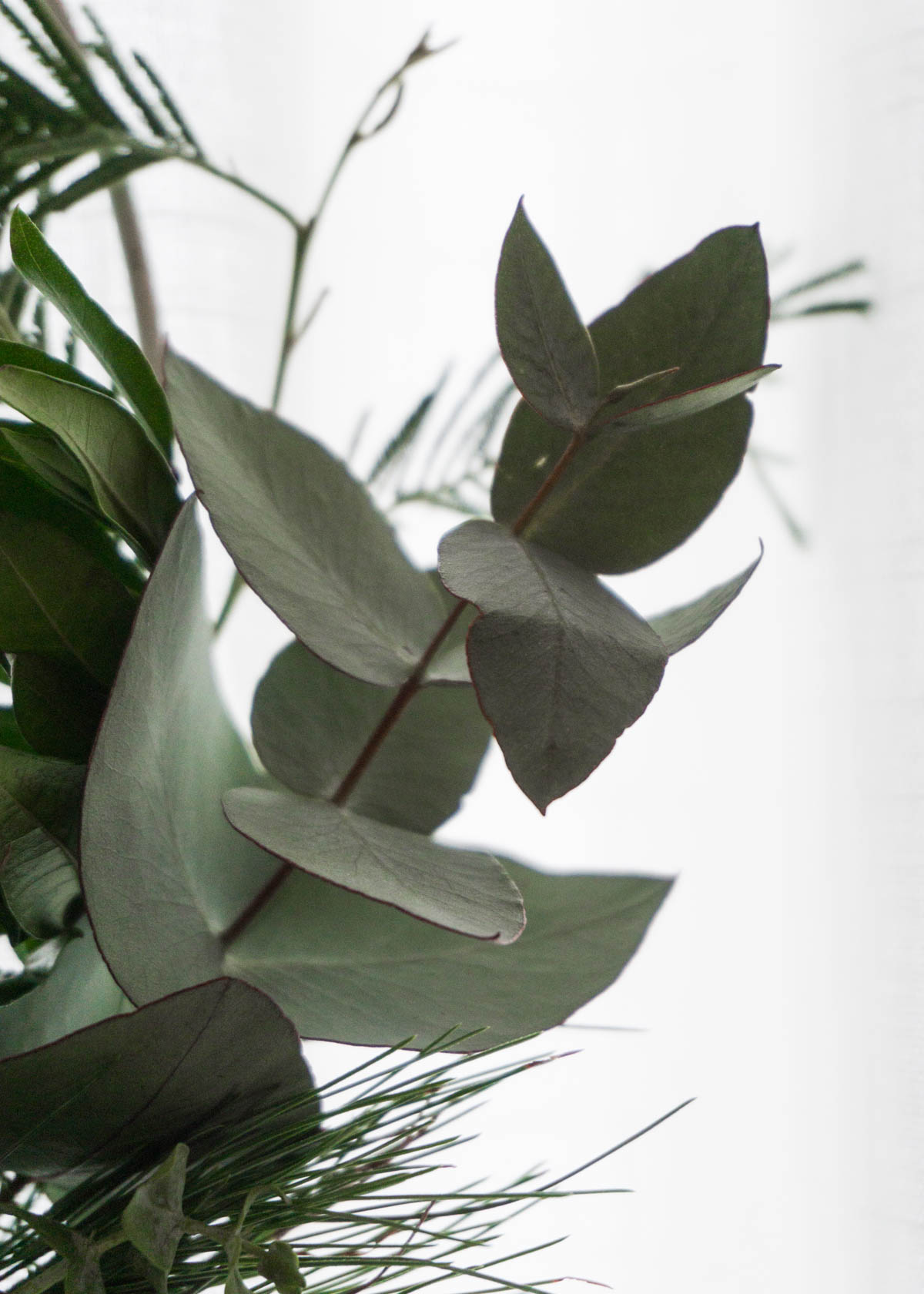 Scandinavian Christmas Decor, Eucalyptus Wreath - RG Daily Blog