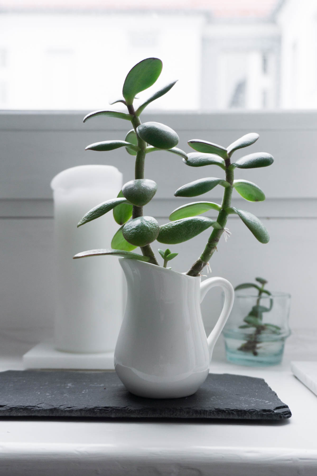 Cozy Minimal Kitchen, Scandinavian Christmas Decor, Jade Plant - RG Daily Blog