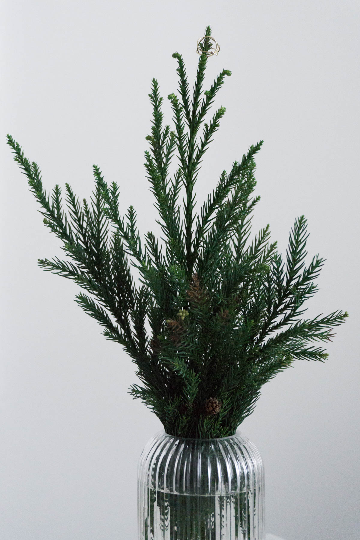 Cozy Minimal Kitchen, Scandinavian Christmas Decor, Evergreen Vase - RG Daily Blog
