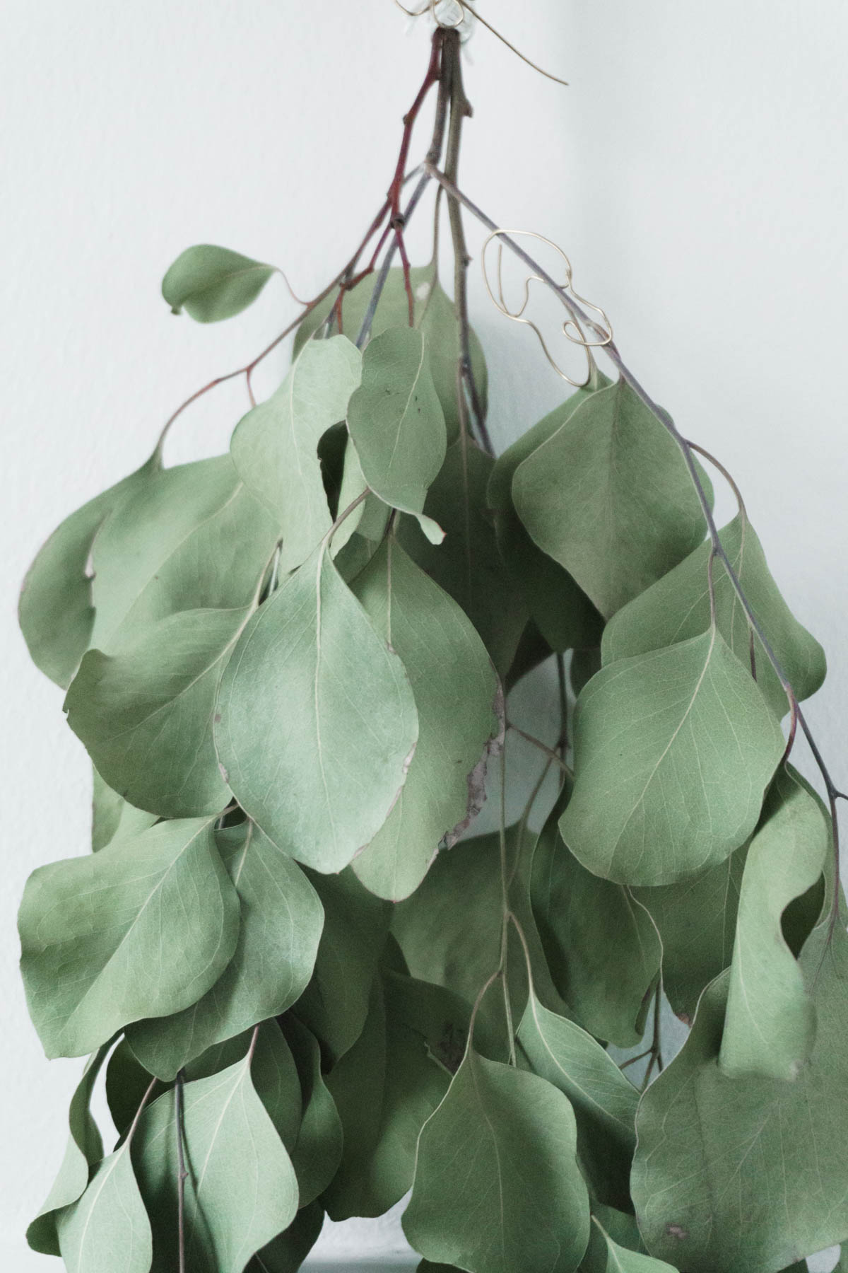 Scandinavian Christmas Decor, DIY Eucalyptus Garland - RG Daily Blog