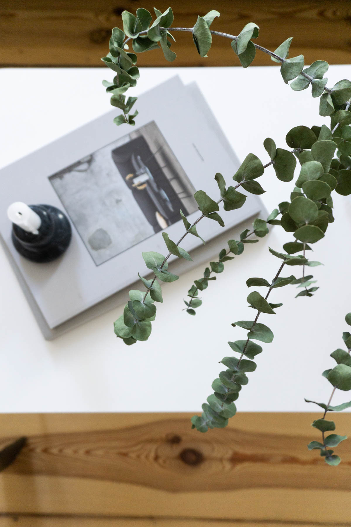 Eucalyptu and White Coffee Table, Minimalist Living Room, Scandinavian Home - Berlin Flat Rebecca Goddard - RG Daily Blog