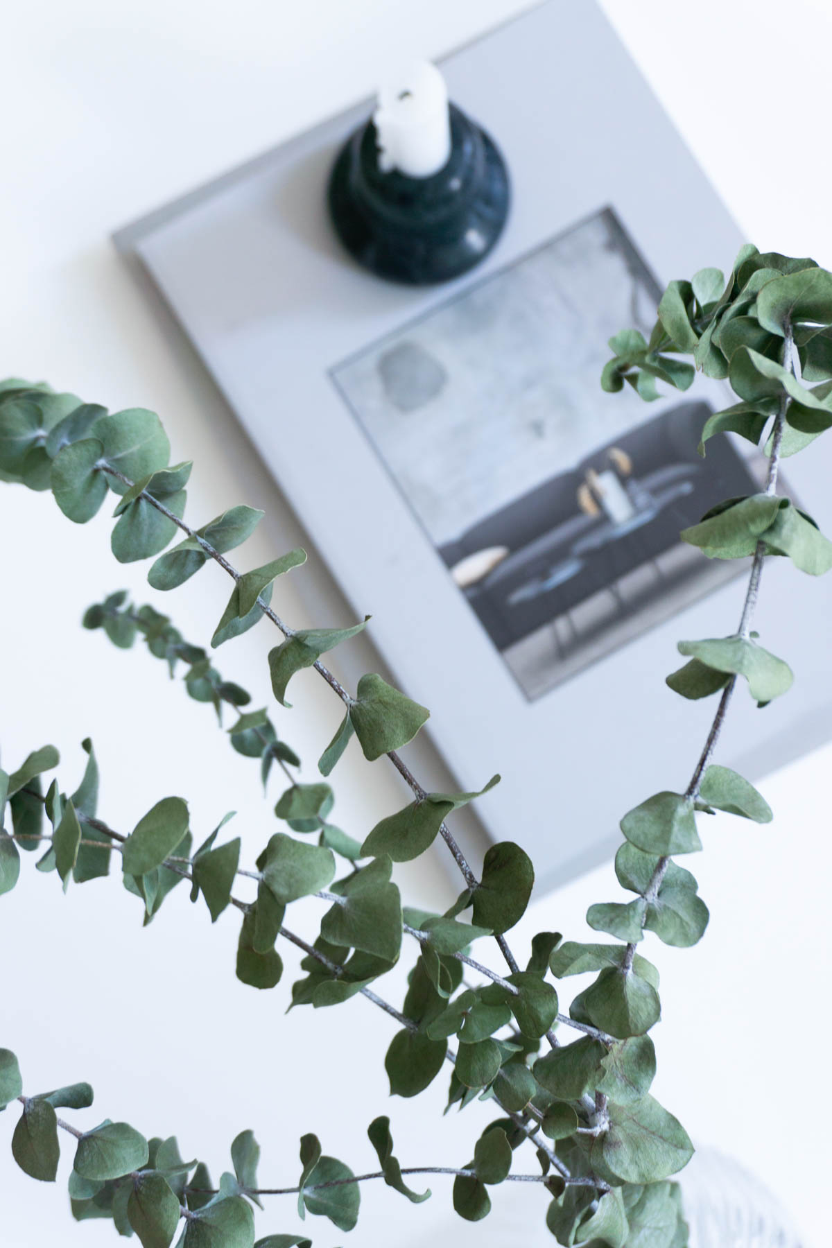 Eucalyptus, Minimalist Living Room, Scandinavian Home - Berlin Flat Rebecca Goddard - RG Daily Blog