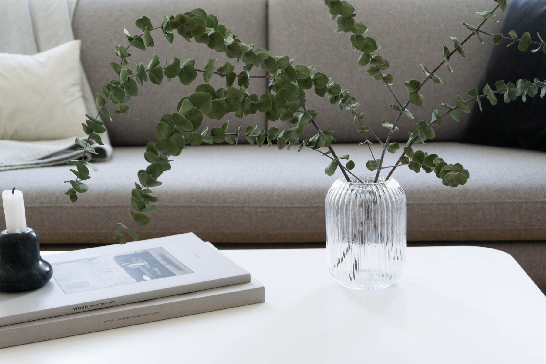 Eucalyptu in Vase and Grey Sofa, Minimalist Living Room, Scandinavian Home - Berlin Flat Rebecca Goddard - RG Daily Blog
