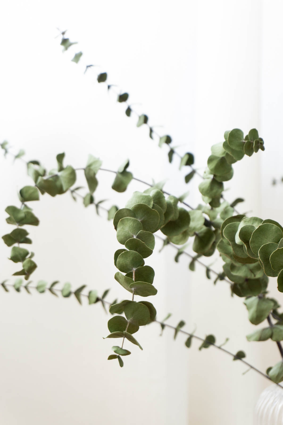 Dried Eucalyptus - Scandinavian Interior Design - Bedroom Details - RG Daily Blog