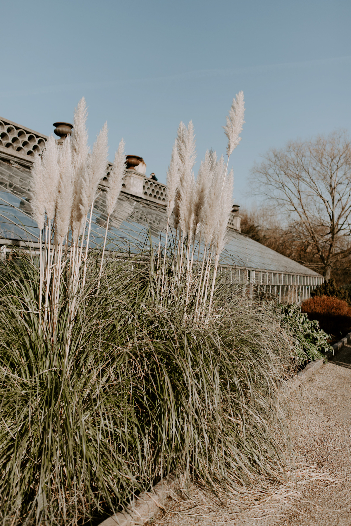 Our Dreamy Copenhagen Elopement ~ City Hall Wedding Photographer, Elva Ziemele / Lace Ivy and Oak Wedding Dress, Denmark / RG Daily Blog, Rebecca Goddard