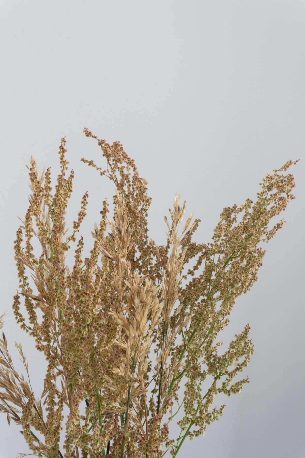 White and Beige Danish Inspired Kitchen | Wheat Flower Arrangement - RG Daily Blog, Interior Design