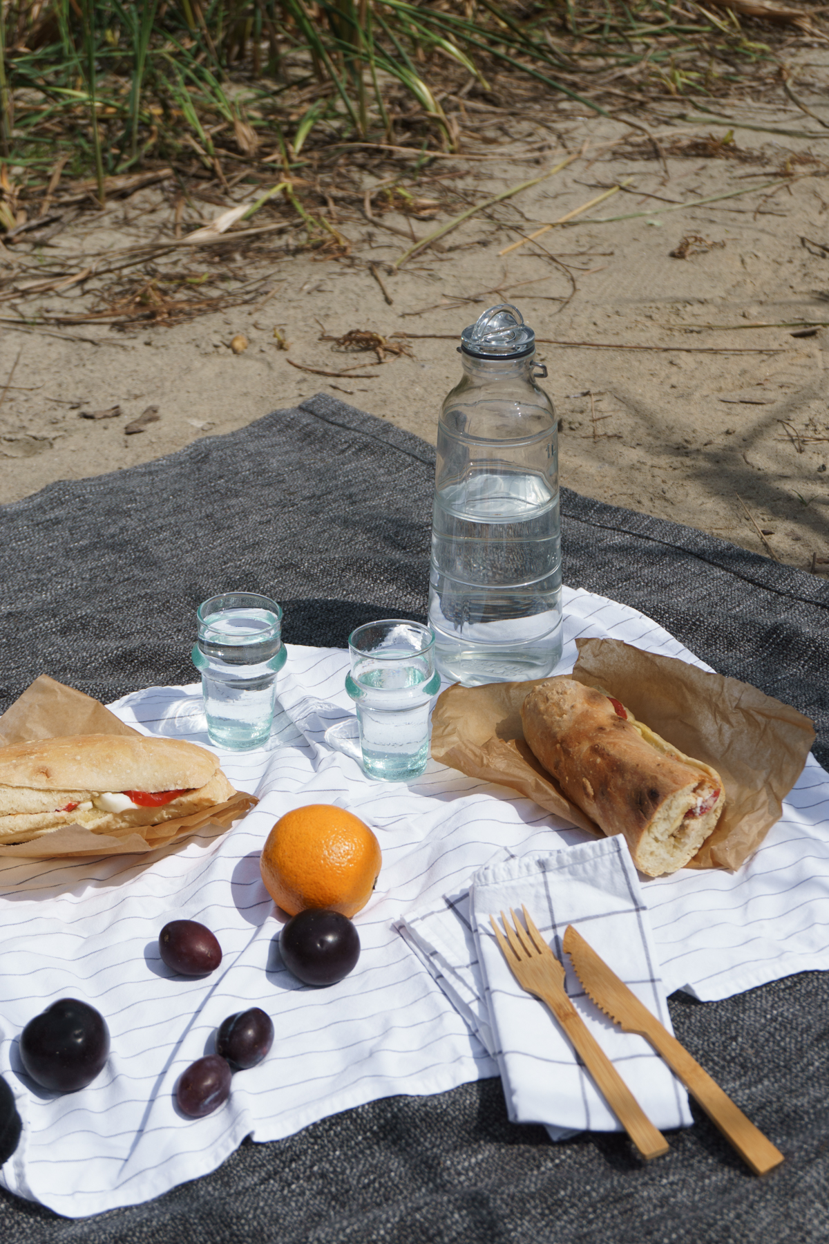 Summer Picnic in Poznań Poland - Travel Journal / RG Daily Blog