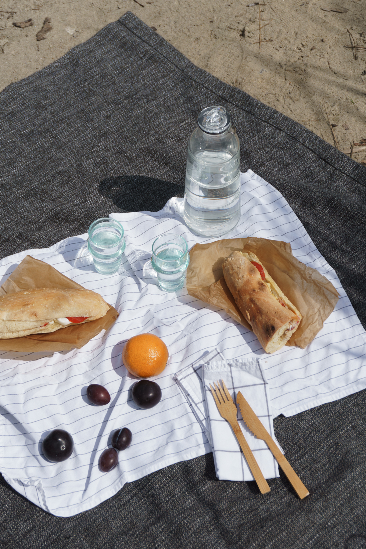 Summer Picnic in Poznań Poland - Travel Journal / RG Daily Blog