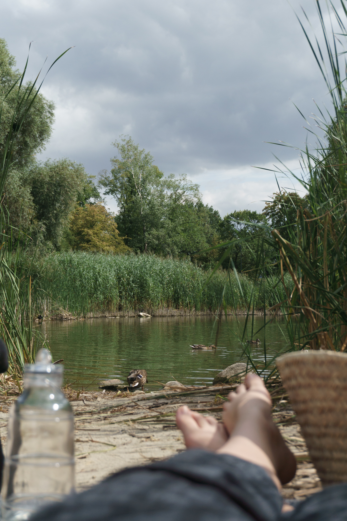 Summer Picnic in Poznań Poland - Travel Journal / RG Daily Blog