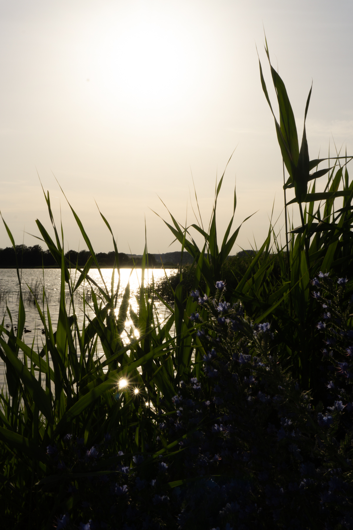 Shadows and Light ~ Summer in Beige, European Travel Nature Snapshot | RG Daily Blog, Copyright © Rebecca Goddard