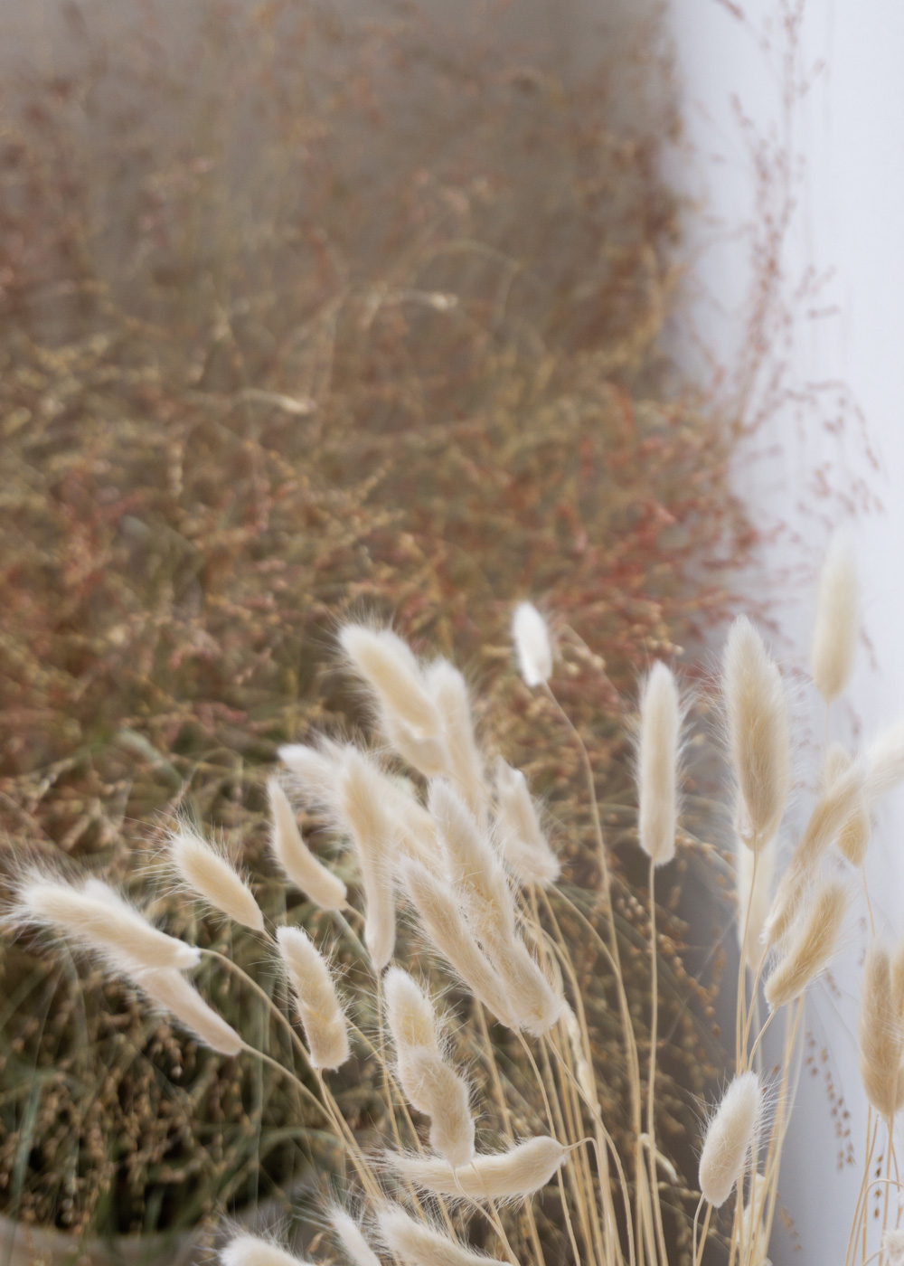 Dried Grass and Shadows ~ Simple For Everyday Slow Living | Minimalist Home, Scandinavian Design, Sustainable Home, Natural Aesthetic | Product Photography, Light and Shadows | RG Daily Blog Copyright © Rebecca Goddard