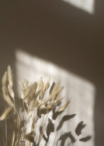 Dried Grass and Shadows ~ Simple For Everyday Slow Living | Minimalist Home, Scandinavian Design, Sustainable Home, Natural Aesthetic | Product Photography, Light and Shadows | RG Daily Blog