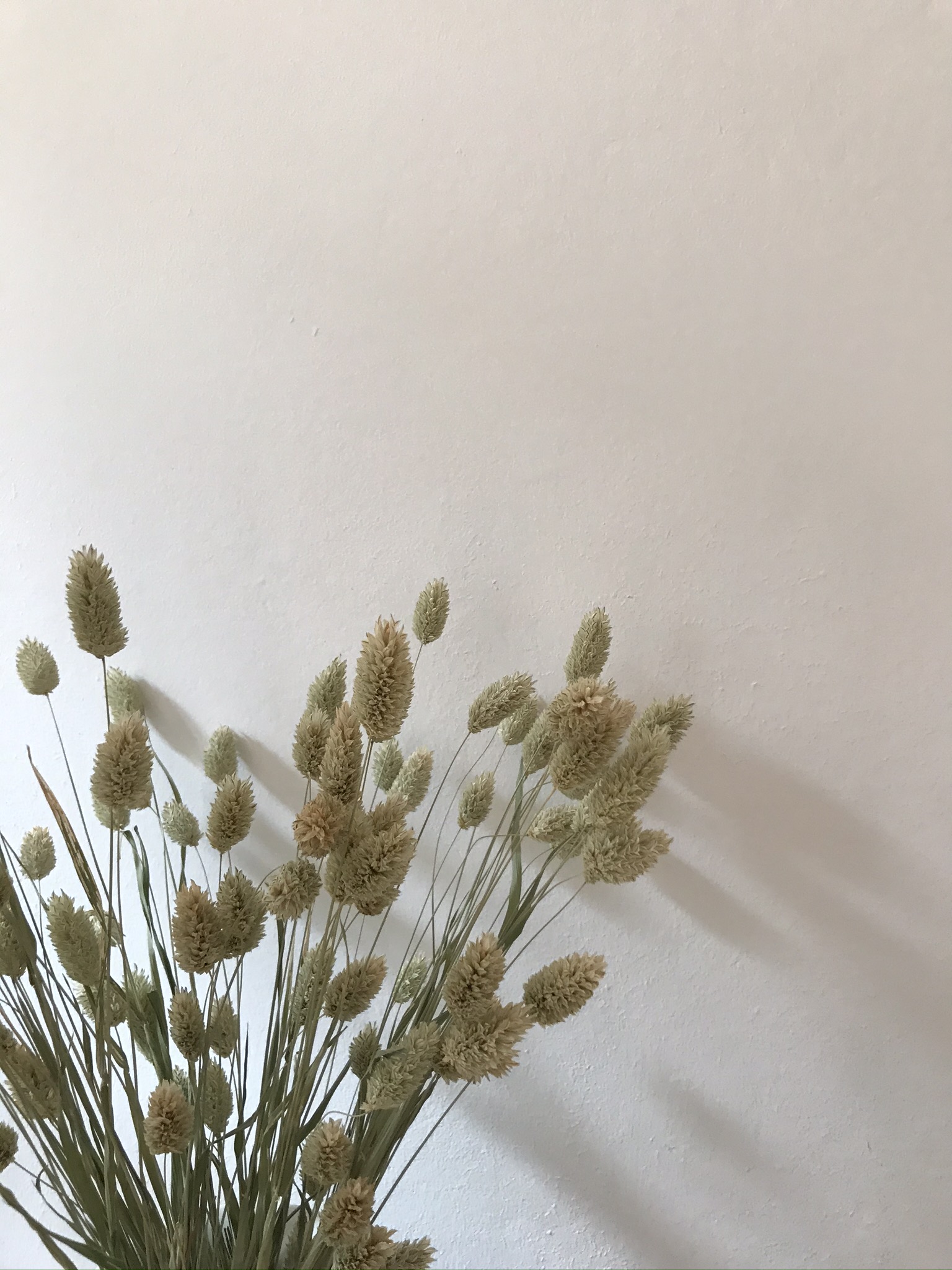 Dried Flowers, sustainable arrangement, minimal decor details, scandi home, interior design Bedroom Decor Details, Dried Flowers, beige storage, mirror, Hay Matin Lamp, minimal style neutral home, slow living | RG Daily Blog