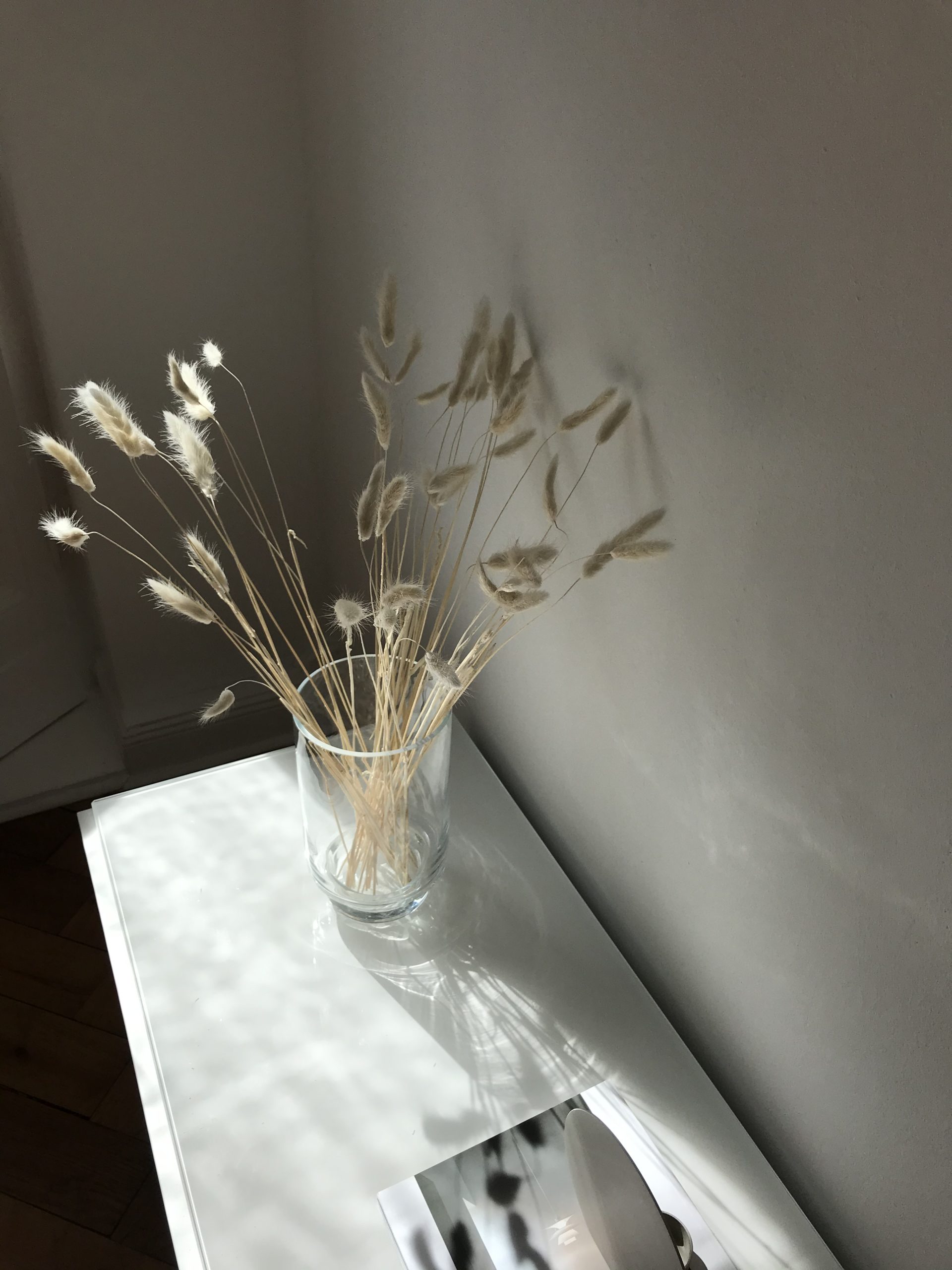 Pampas Grass Bunny Ears, Light Shadow Play, Interior design decor details, minimal home, neutral aesthetic | RG Daily Blog