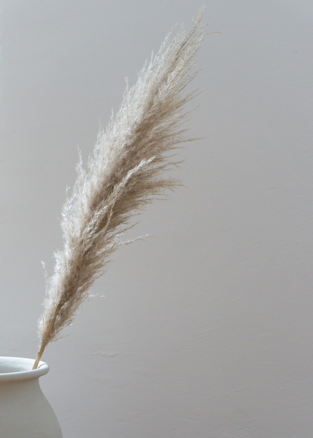 Pampas Grass - Neutral Home, Scandinavian Aesthetic, Berlin Apartment, White Interior, Calm Lighting | RG Daily Blog