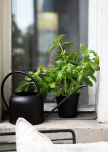 H&M Home, Balcony Styling, Summer Vibes, Marble Cafe Table, Water Can, Plants, Herb Garden - Neutral Home, Scandinavian Interior, Natural Aesthetic, Minimalist Decor, Beige Style, RG Daily Blog