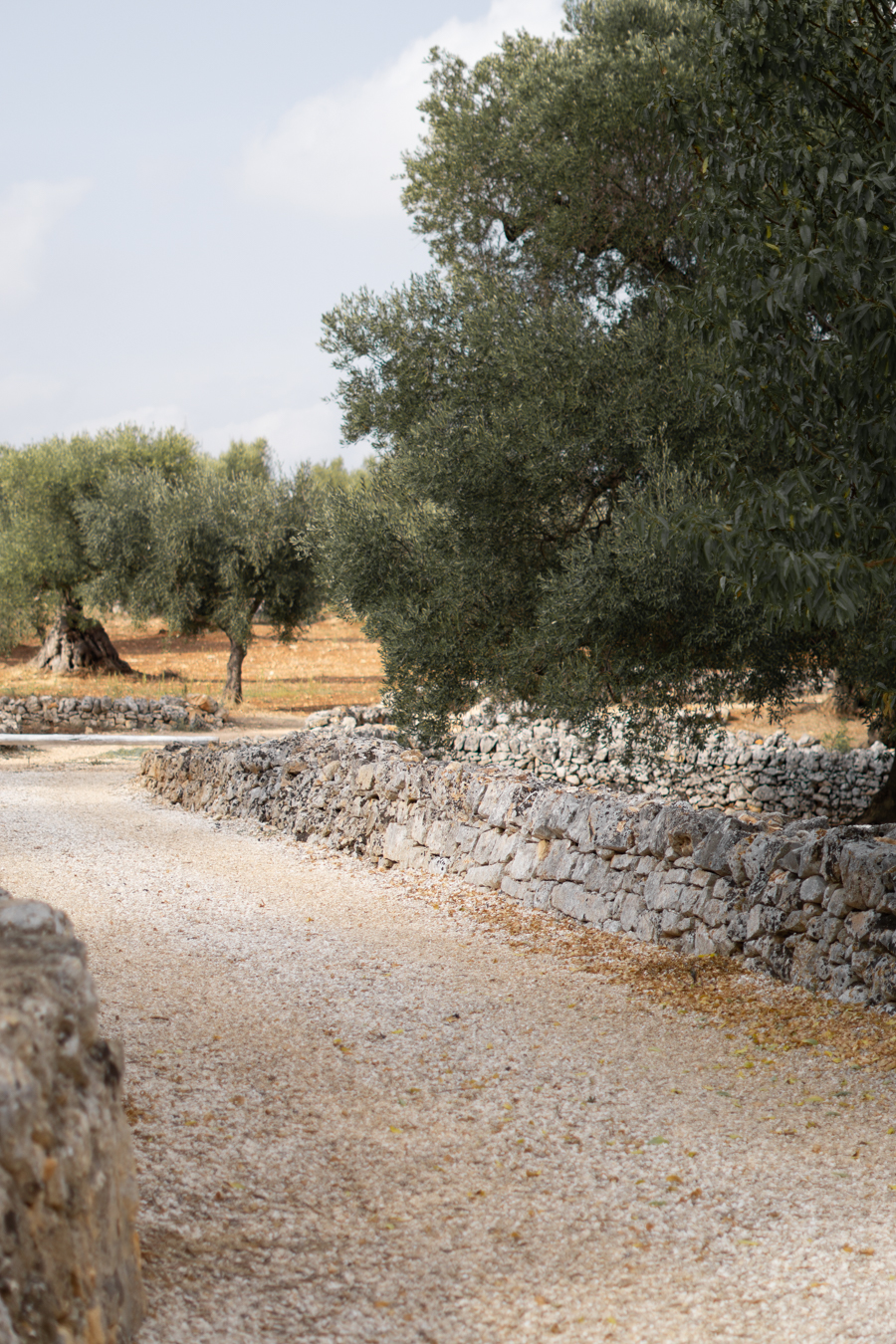 Masseria Dagilupi Ostuni, Puglia Italy Travel, Architecture Design Hotel