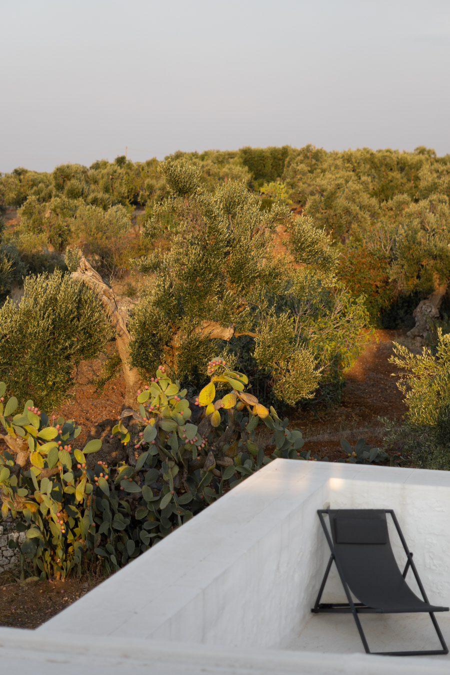 Masseria Dagilupi Ostuni, Puglia Italy Travel, Architecture Design Hotel