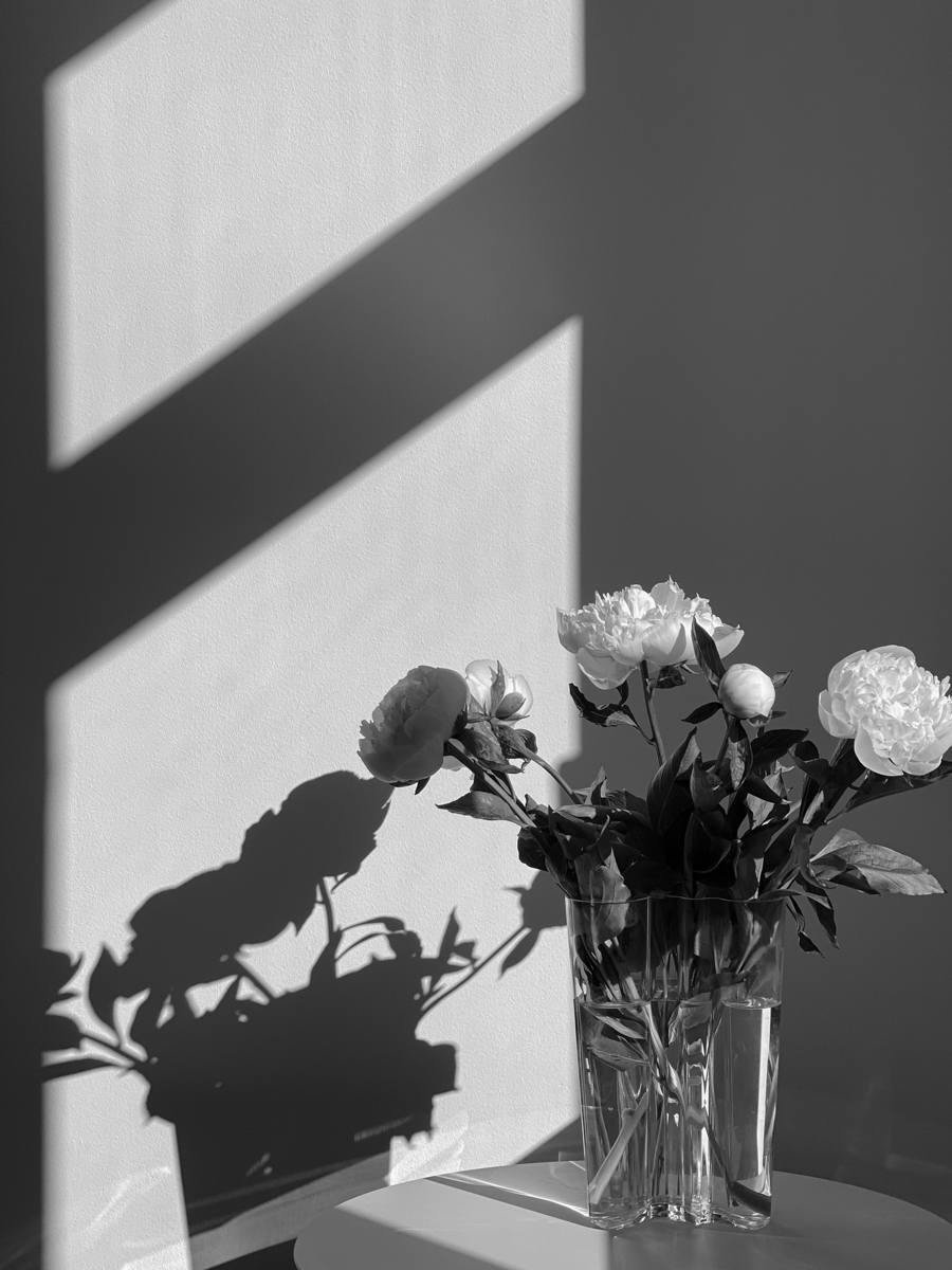 Black & White Summer Vibes, June in Munich, Flowers