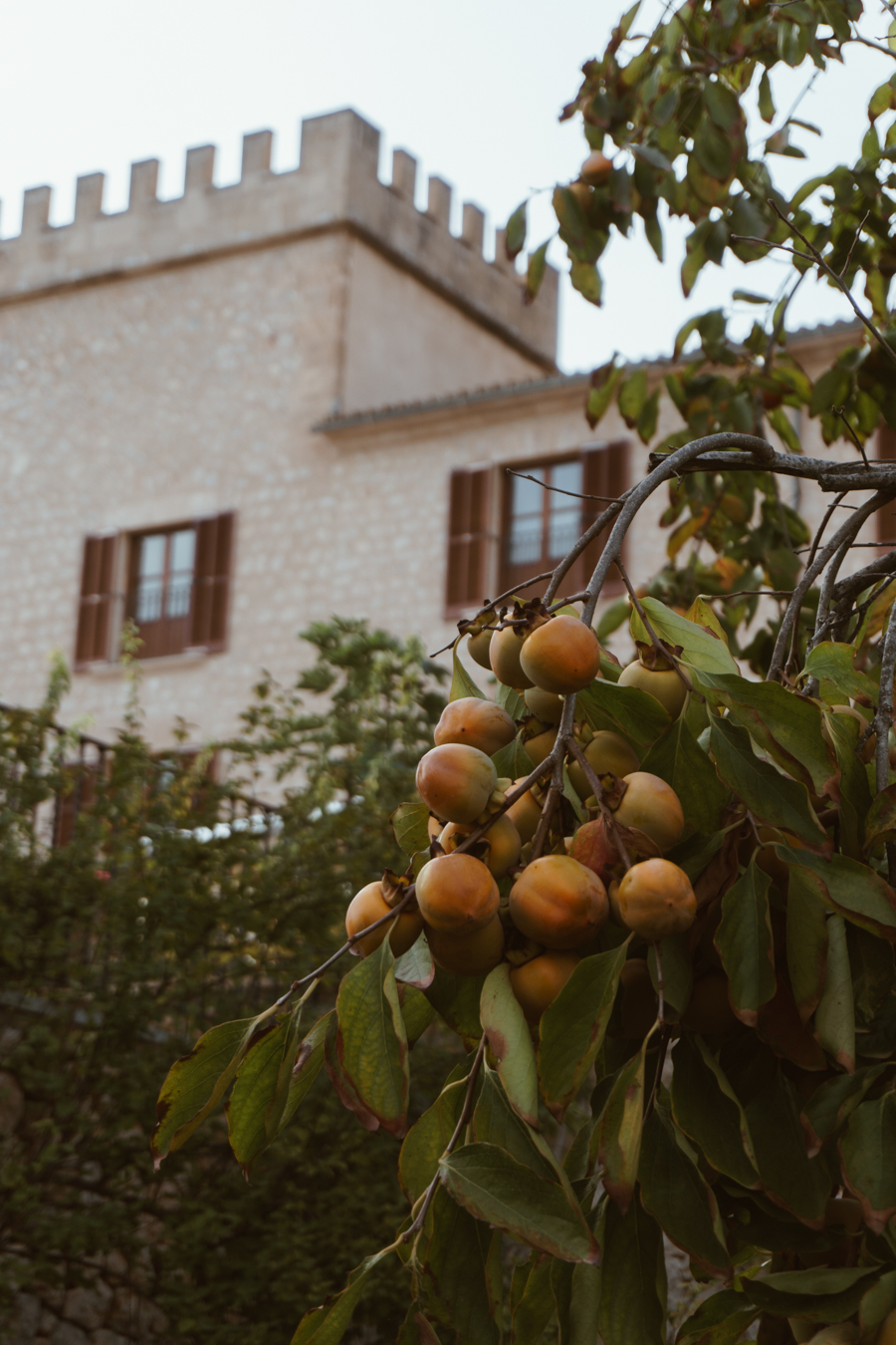 Castell Son Claret, Mallorca Spain