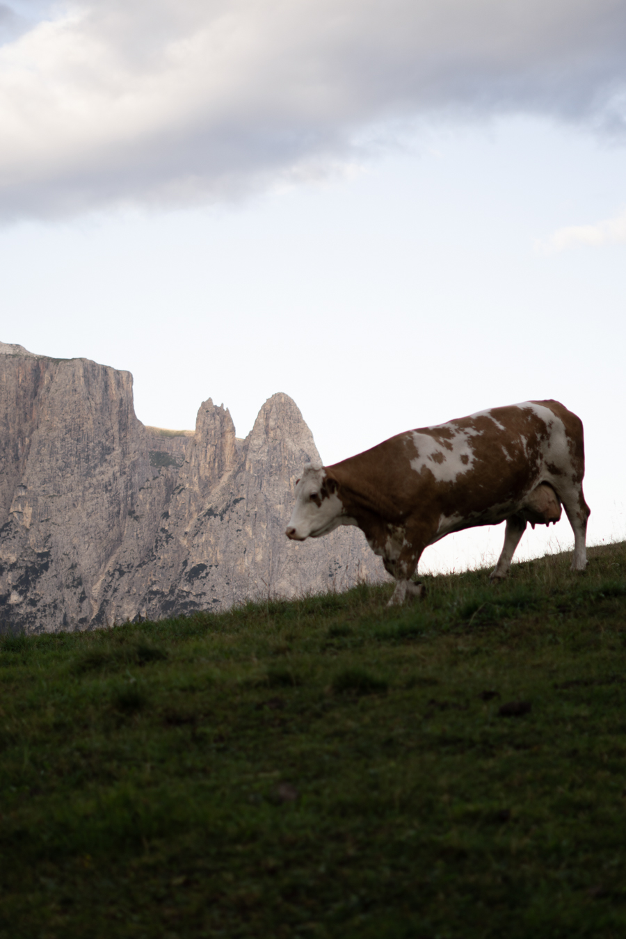 Schgaguler Hotel, Dolomites Italy